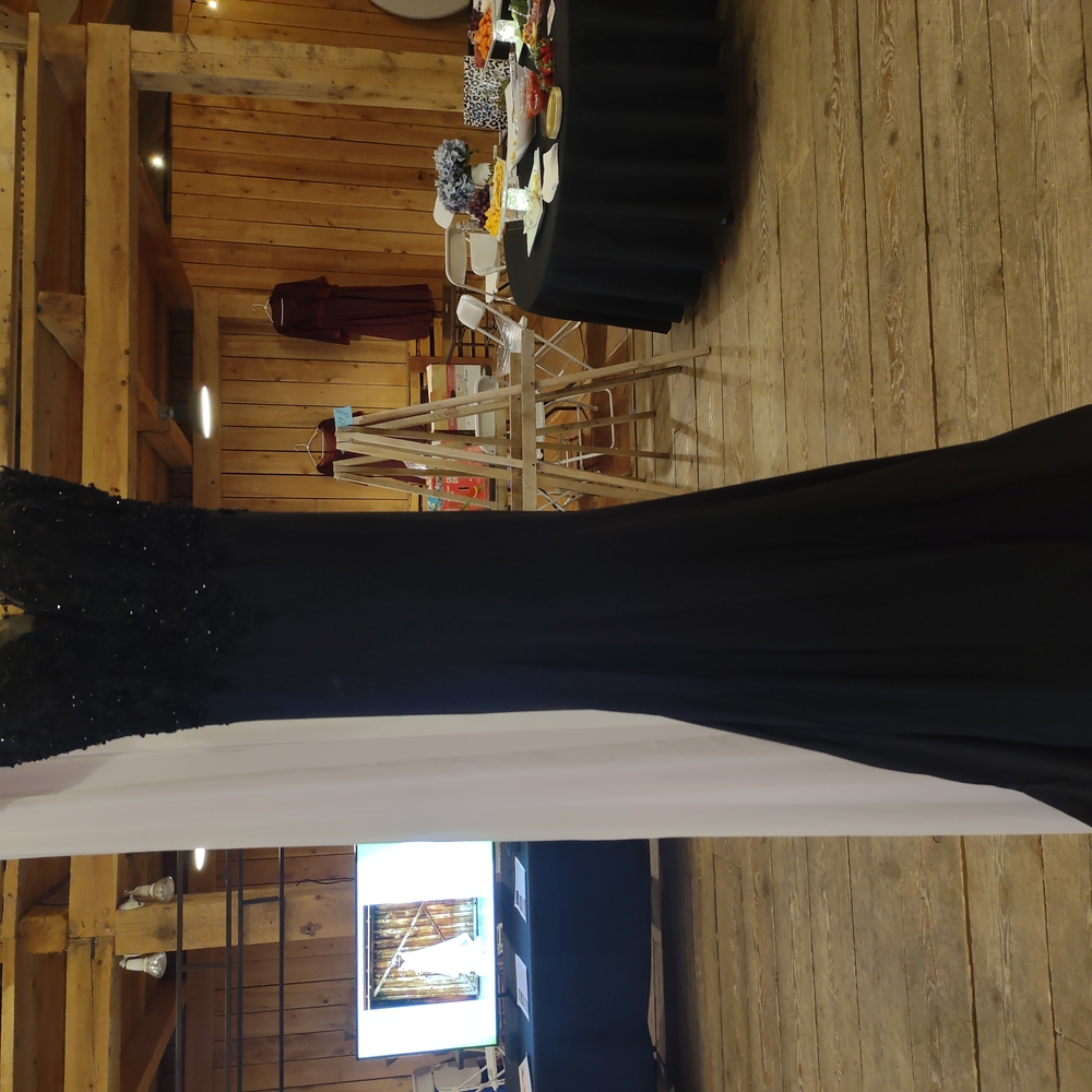 Elegant Black Evening Gown